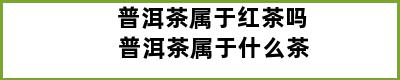 普洱茶属于红茶吗 普洱茶属于什么茶